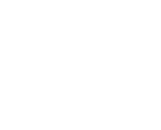 50 Jahre Kraft